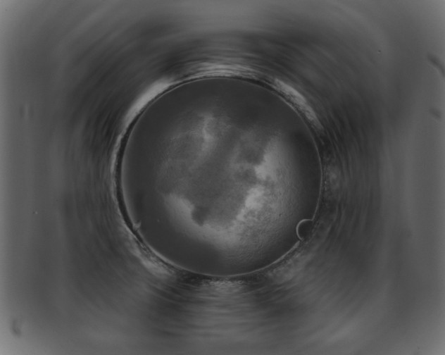 X0000093251427200709261710