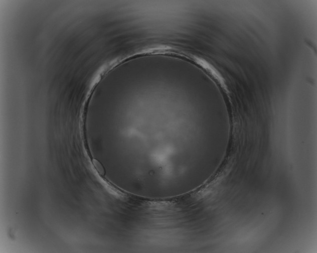 X0000093251429200709261710