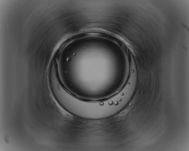 X0000093251430200709261710