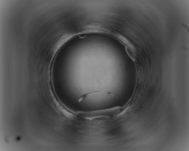 X0000093251431200709261710