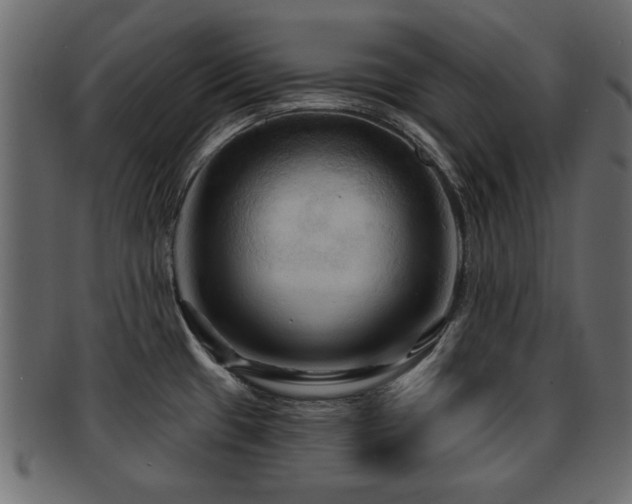 X0000093251433200709261710
