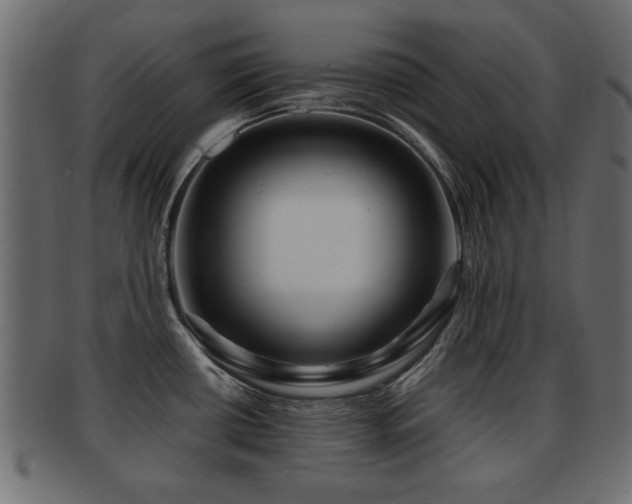 X0000093251434200709261710