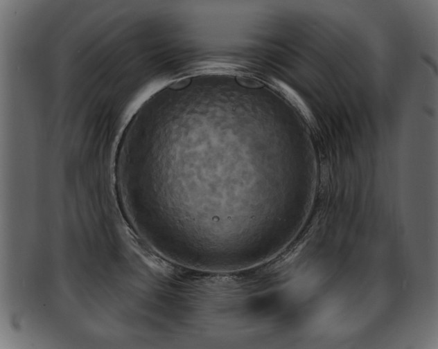 X0000093251435200709261710