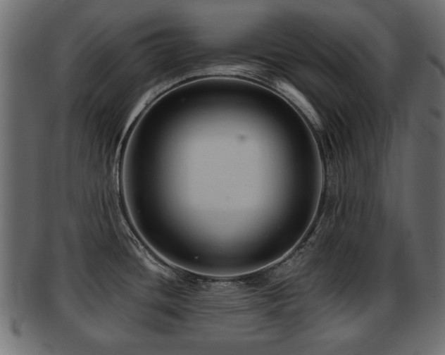 X0000093251436200709261711