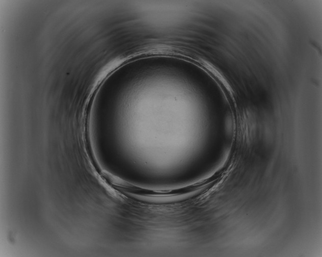 X0000093251437200709261711