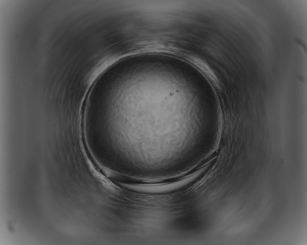 X0000093251439200709261711