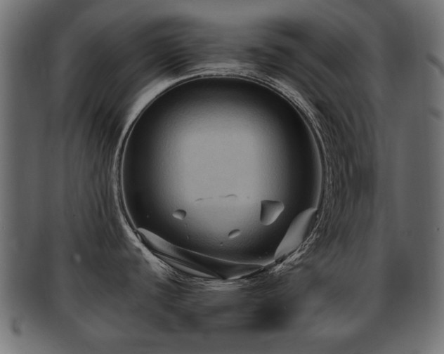 X0000093251440200709261711