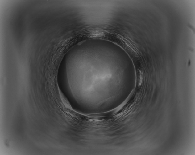 X0000093251441200709261710