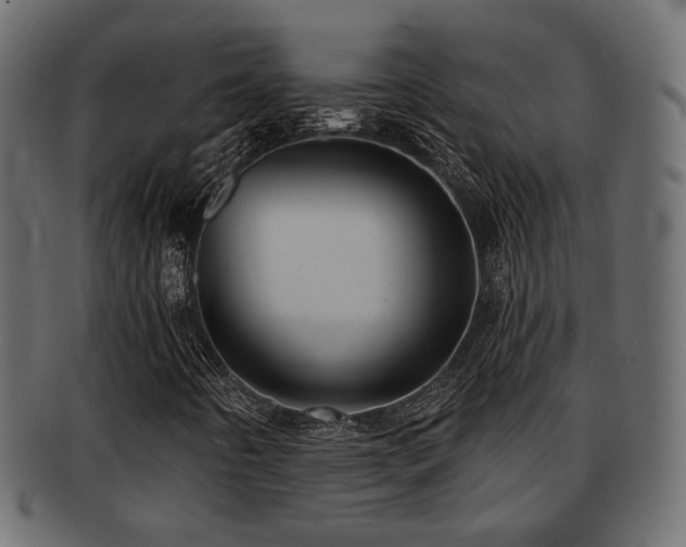 X0000093251442200709261710