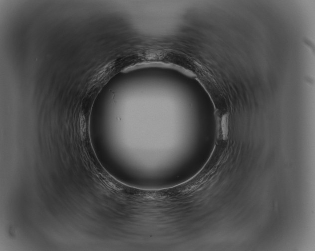 X0000093251443200709261710