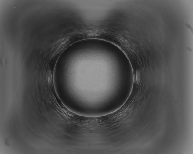 X0000093251444200709261710