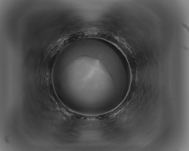 X0000093251445200709261710