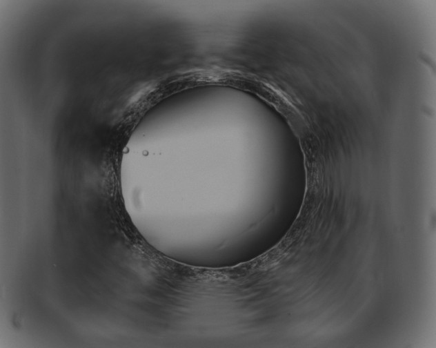 X0000093251446200709261710