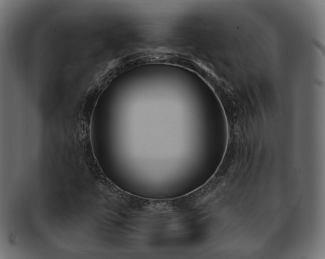 X0000093251447200709261710