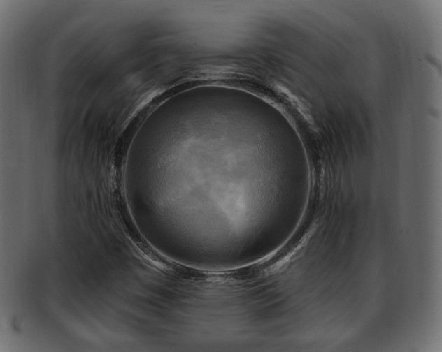 X0000093251449200709261710