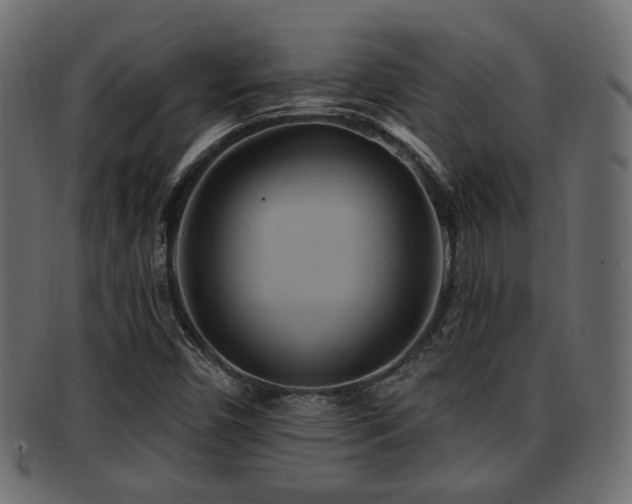 X0000093251450200709261710