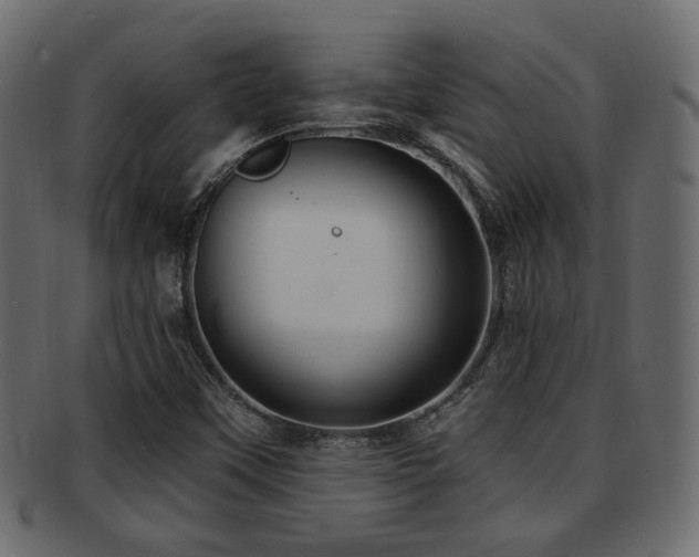 X0000093251451200709261710