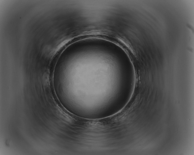 X0000093251452200709261710