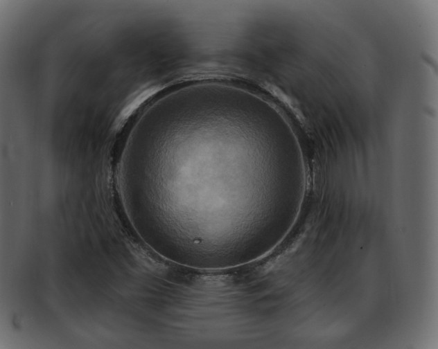 X0000093251453200709261710