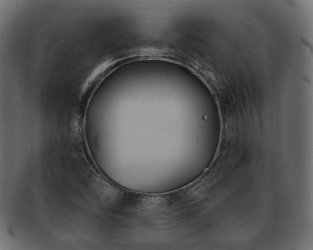 X0000093251454200709261710