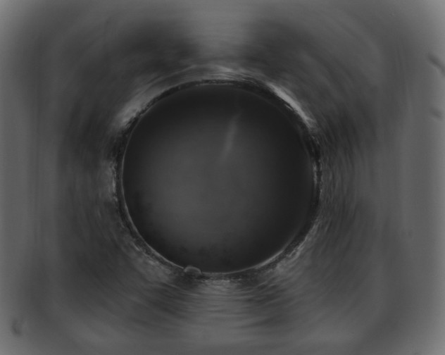 X0000093251455200709261710