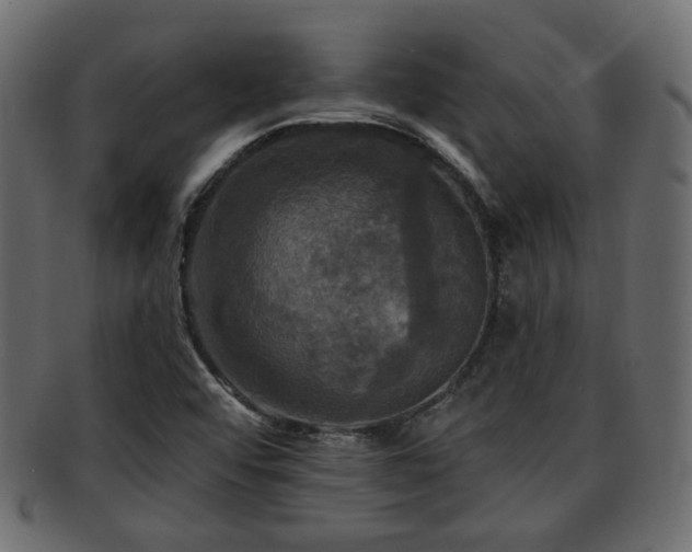 X0000093251456200709261710