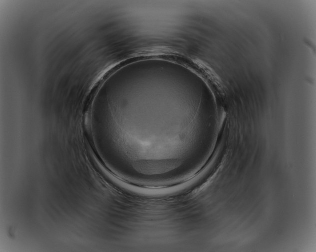X0000093251457200709261710