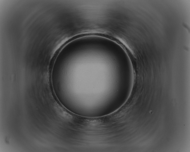 X0000093251460200709261710