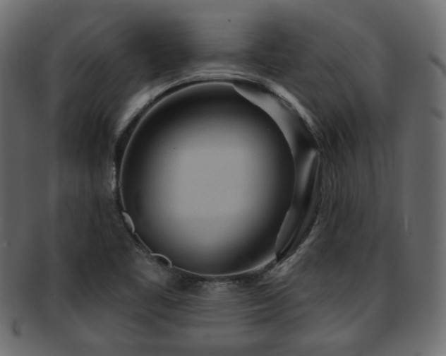 X0000093251461200709261710