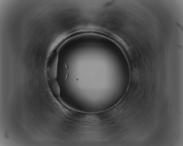 X0000093251464200709261710