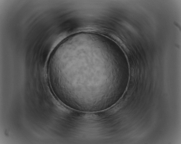 X0000093251466200709261710