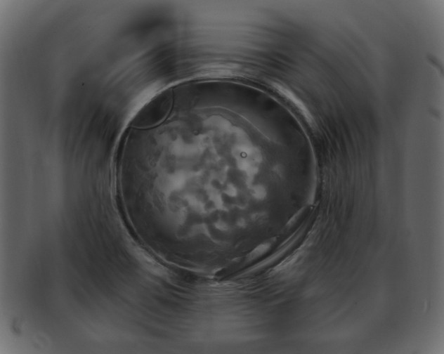 X0000093251467200709261710