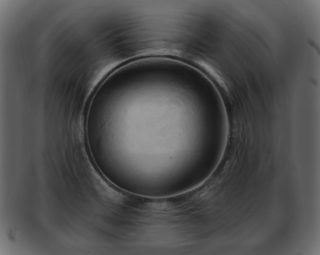 X0000093251468200709261710
