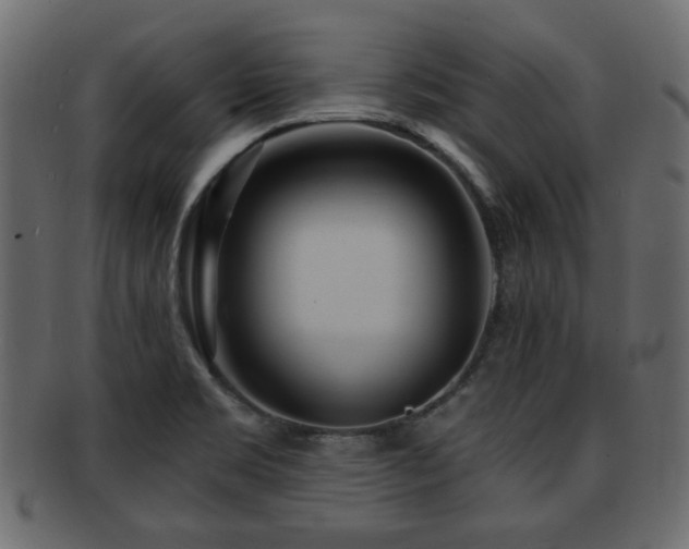 X0000093251469200709261710