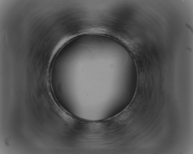 X0000093251470200709261710