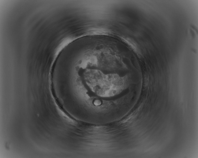 X0000093251471200709261710