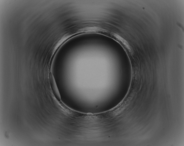 X0000093251473200709261710