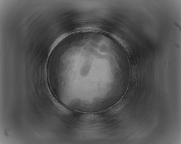 X0000093251474200709261710