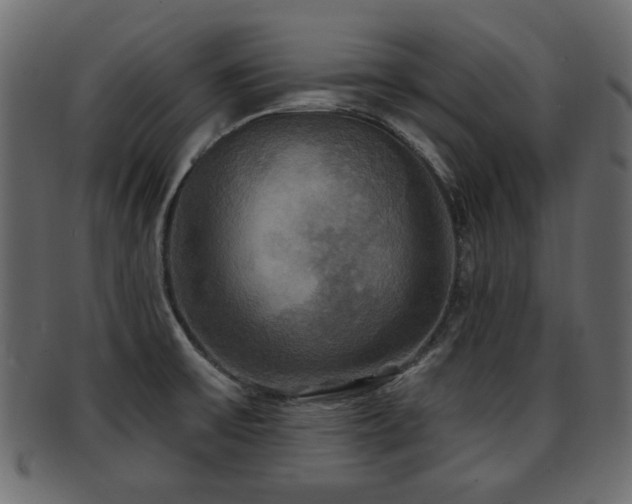 X0000093251475200709261710