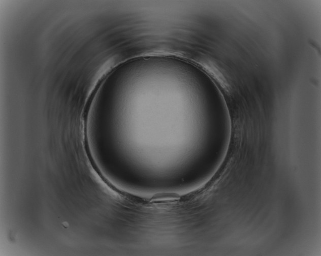 X0000093251476200709261710