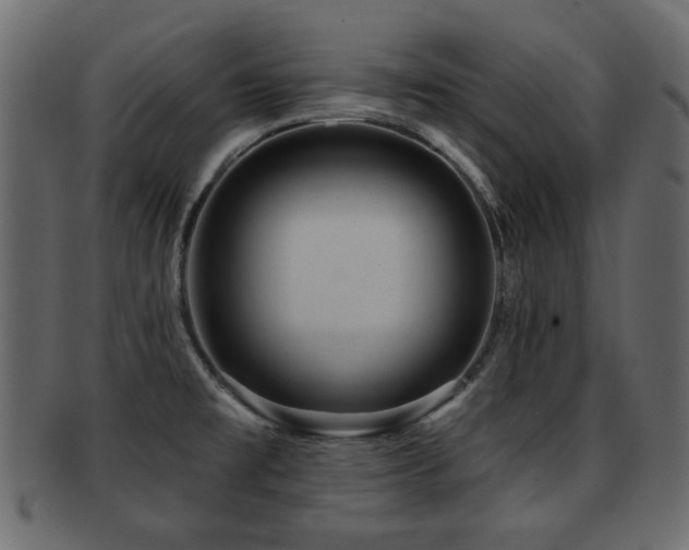 X0000093251477200709261710