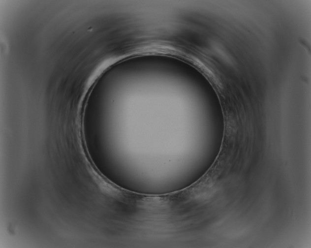 X0000093251478200709261710