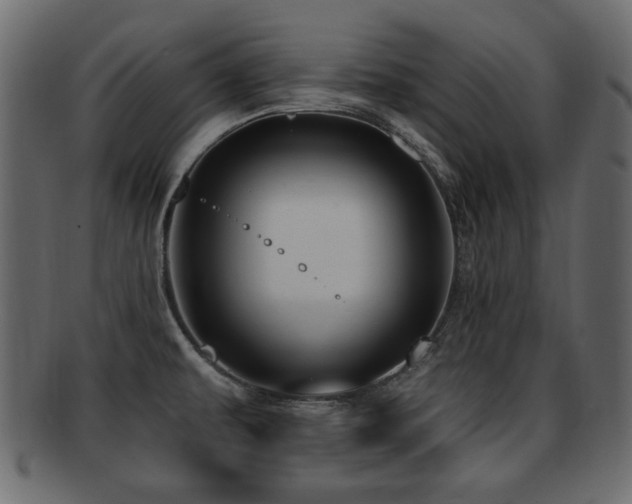 X0000093251479200709261710