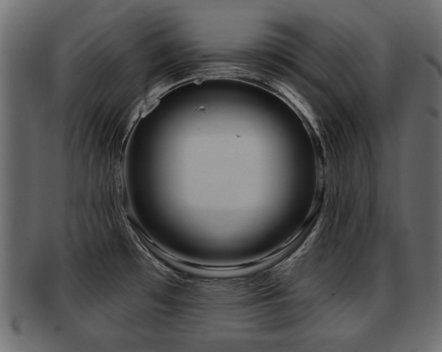 X0000093251481200709261710
