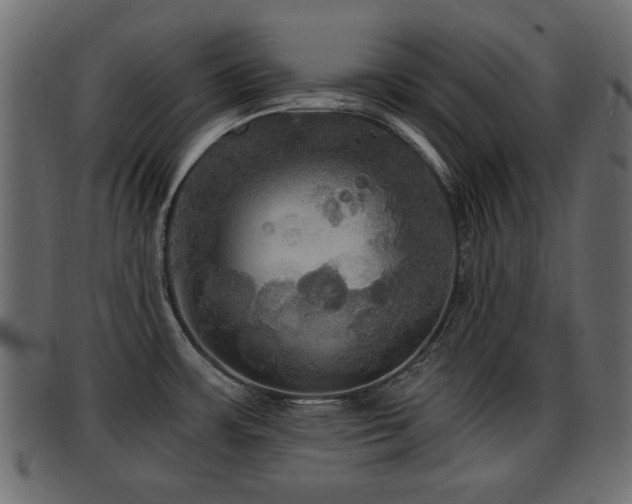 X0000093251483200709261709