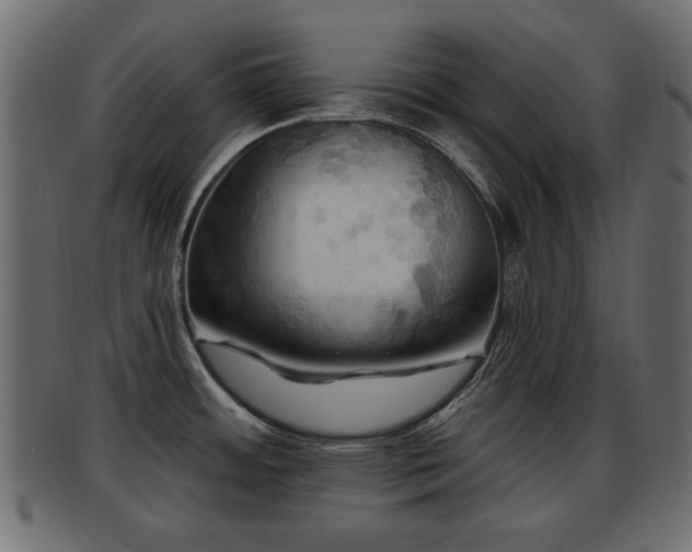 X0000093251484200709261709