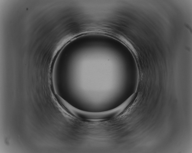X0000093251485200709261709