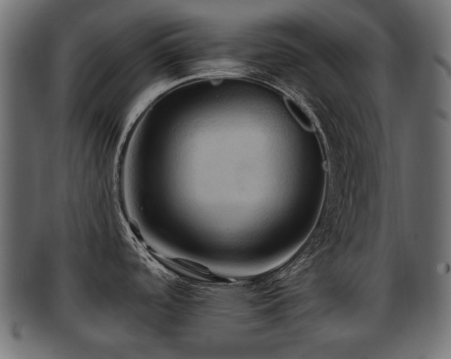 X0000093251488200709261709