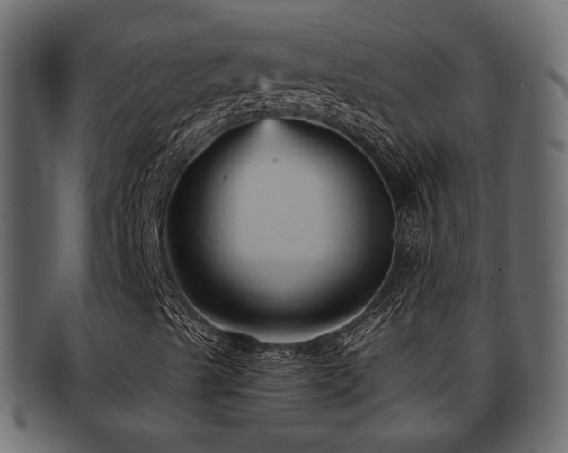 X0000093251489200709261709