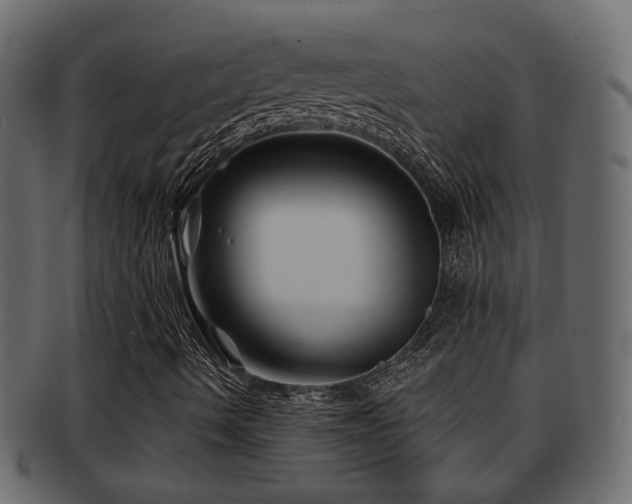 X0000093251490200709261709